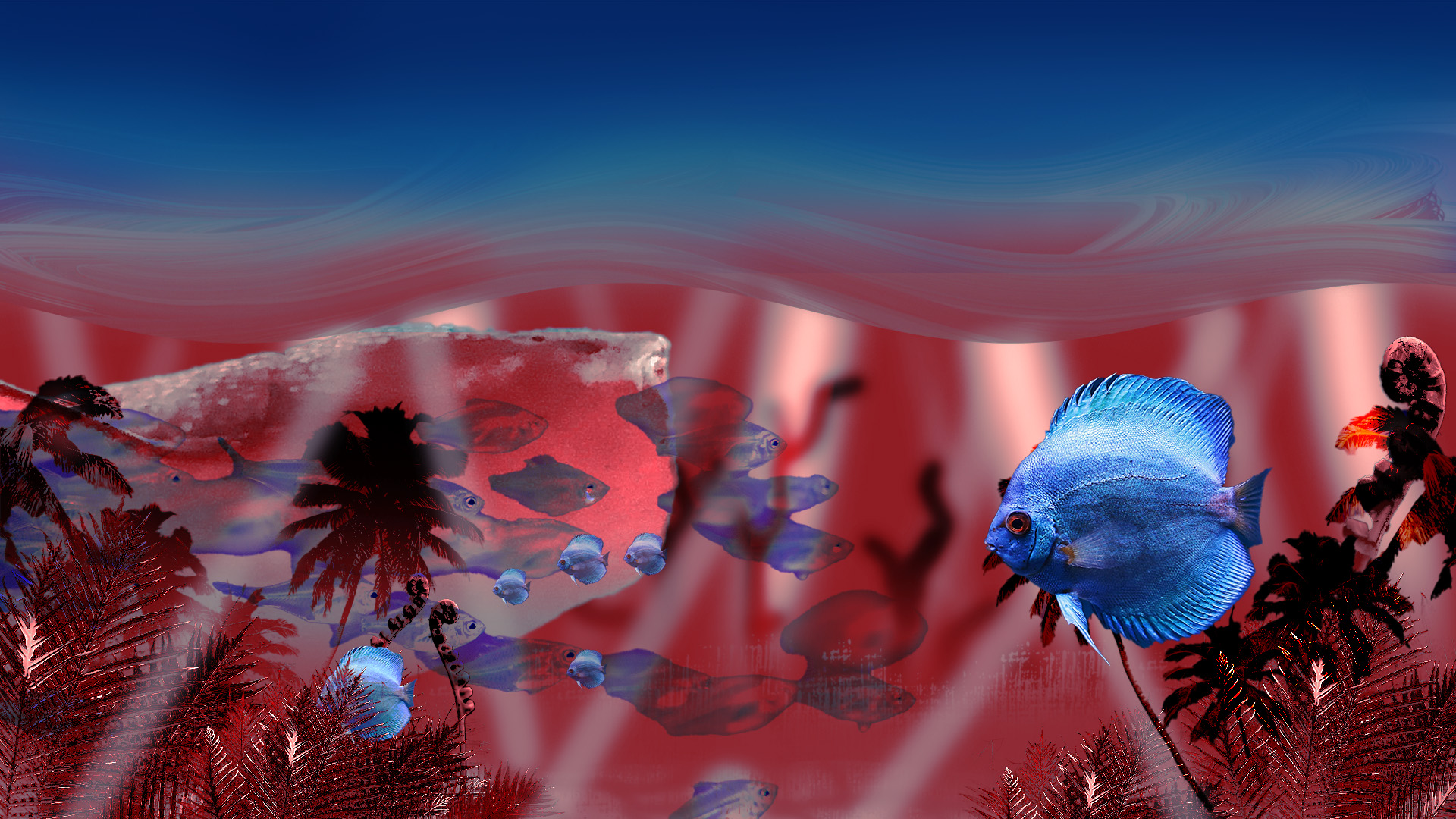Artwork 3